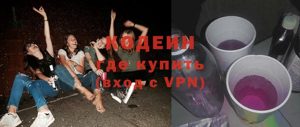 индика Сафоново