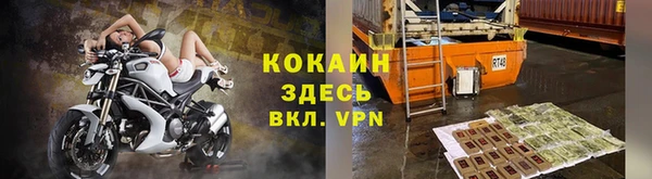 крисы Красноперекопск