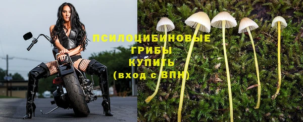 герыч Краснослободск