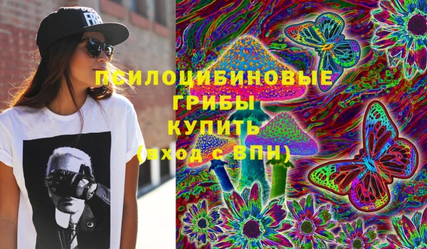 крисы Красноперекопск